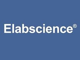 Elabscience Biotechnology Inc. logo